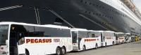 Pegasus Coach Tours image 4